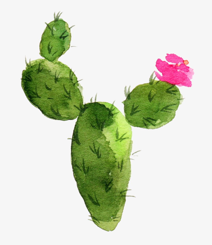 Cactus Watercolor Png - Western Flowers - White By Shopcabin - White, transparent png #52031