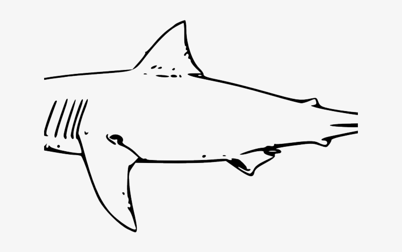 Shark Clipart Watercolor - Great White Shark Clip Art, transparent png #52056