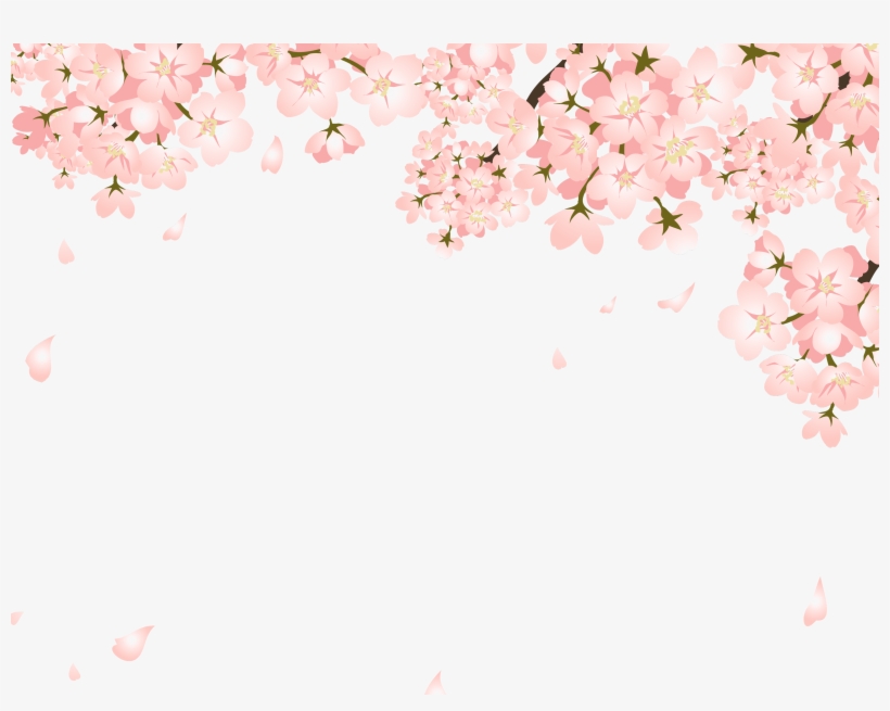 Falling Cherry Blossom Png - فلتر سناب ملكه Png, transparent png #52104