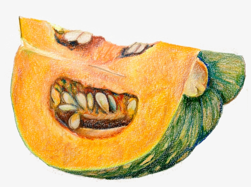 Pumpkindrawing - Pumpkin, transparent png #52344