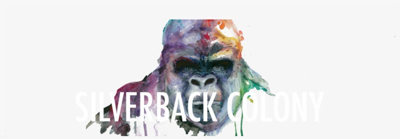 Silverback Colony, transparent png #52583