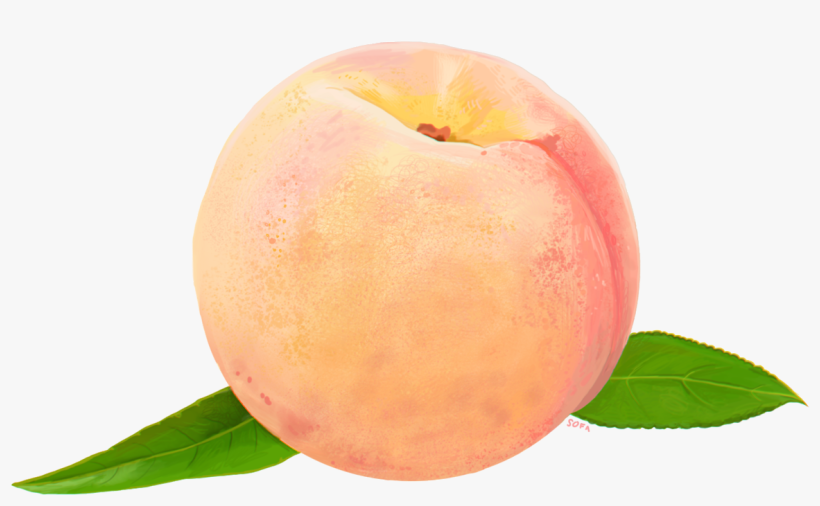 Transparent Watercolor - Peach Png, transparent png #52751