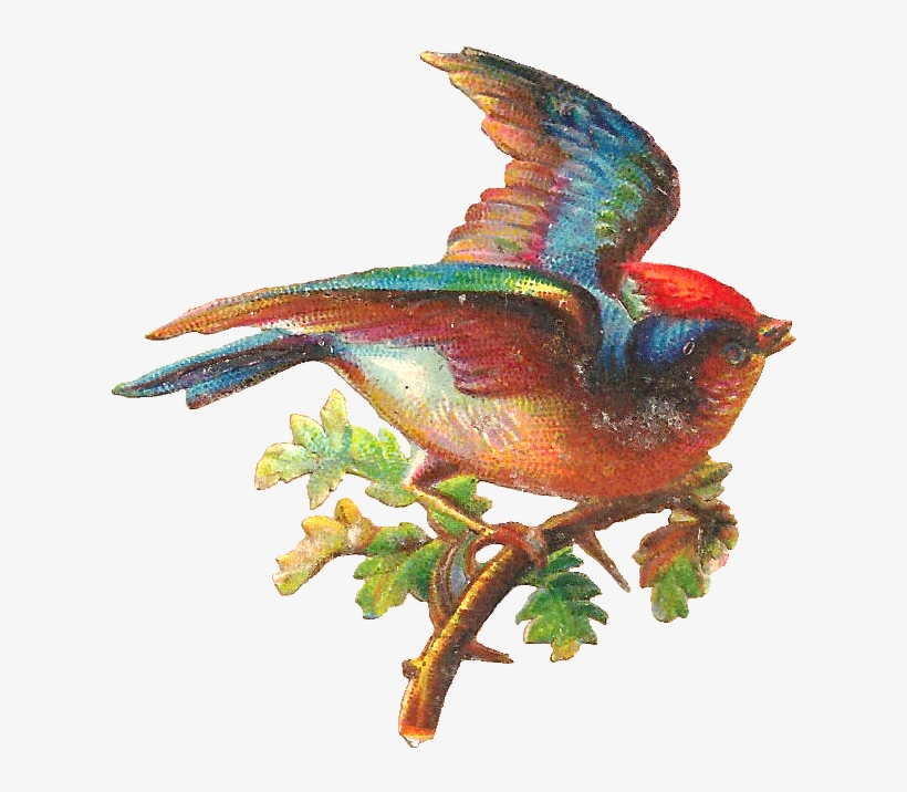 Free Digital Bird Graphic - Pretty Bird Png, transparent png #52875