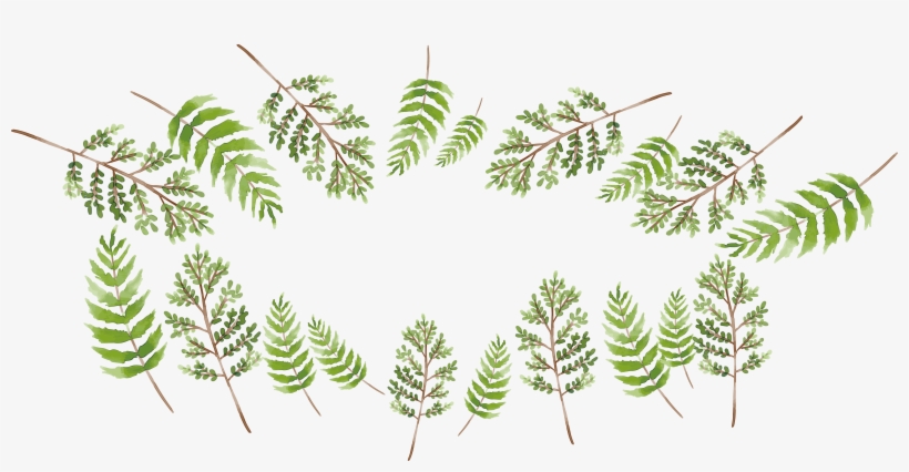 Branch Green Watercolor Painting - Green, transparent png #53253