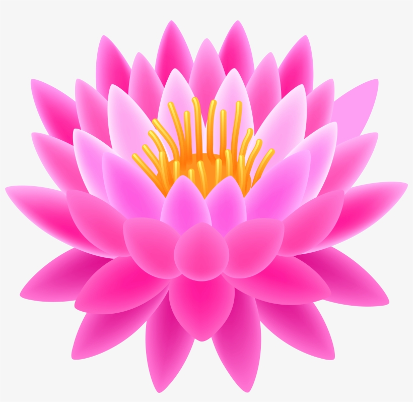 Image Result For Images For Lotus Flower With Transparent - Lotus Flower Transparent Background, transparent png #53319