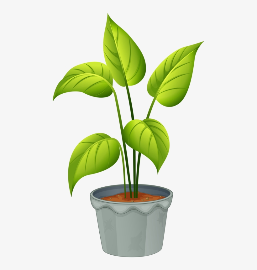 Green Home Plant - Plant Clipart, transparent png #53386