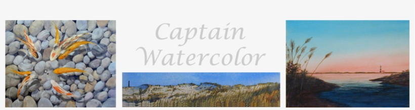 Beautiful Header Image - Vegetarian For A Day By Laureen Osborne 9781606103272, transparent png #53410