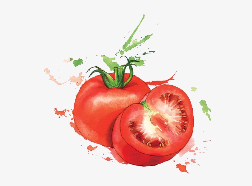 Watercolor Painting Food Art - Georgina Luck Artwork Fruit, transparent png #53431