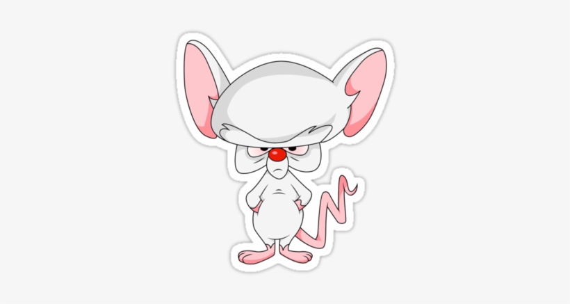 Bumper Stickers, Laptop Stickers, Cool Stickers, Pictures - Pinky And The Brain Brain, transparent png #53558