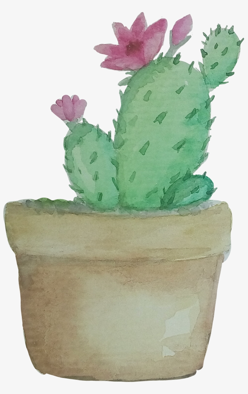 7 Cactus Illustration, Plant Drawing, Catus, Succulents, - Cactos Com  Flores Desenho Png - Free Transparent PNG Download - PNGkey