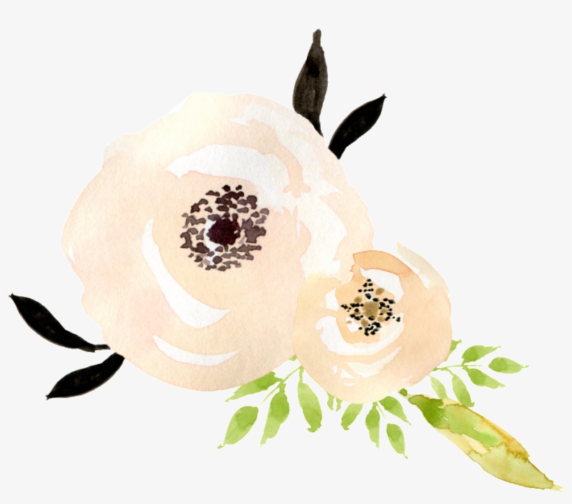 This Graphics Is Milk White Bouquet Transparent Decorative - Illustration, transparent png #53674