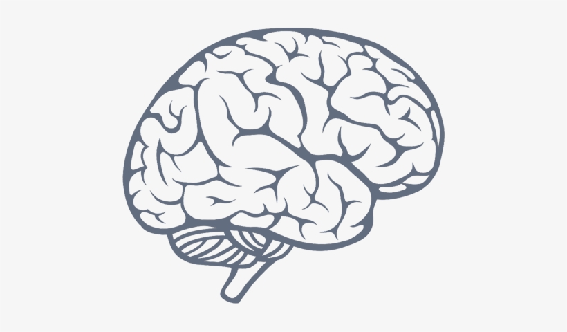 Null - Working Brain, transparent png #53726