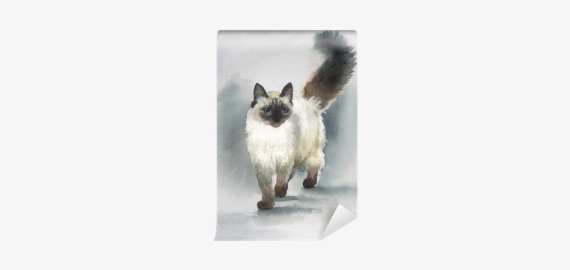 Watercolor Animal Collection - Iskhan Cat Grain Free Kitten 2.5 Kg, transparent png #53814