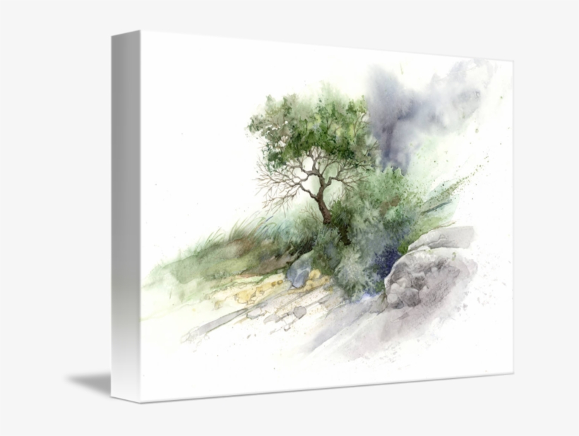 "brush And Stone Study" By Steve Mitchell - Mind Of Watercolor Trees, transparent png #53957