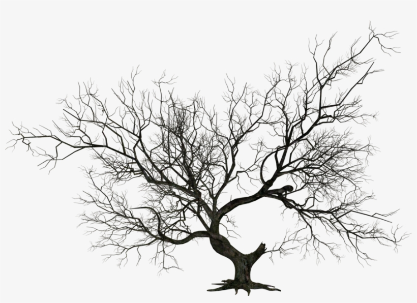 Share This Image - Halloween Tree Clip Art, transparent png #54203
