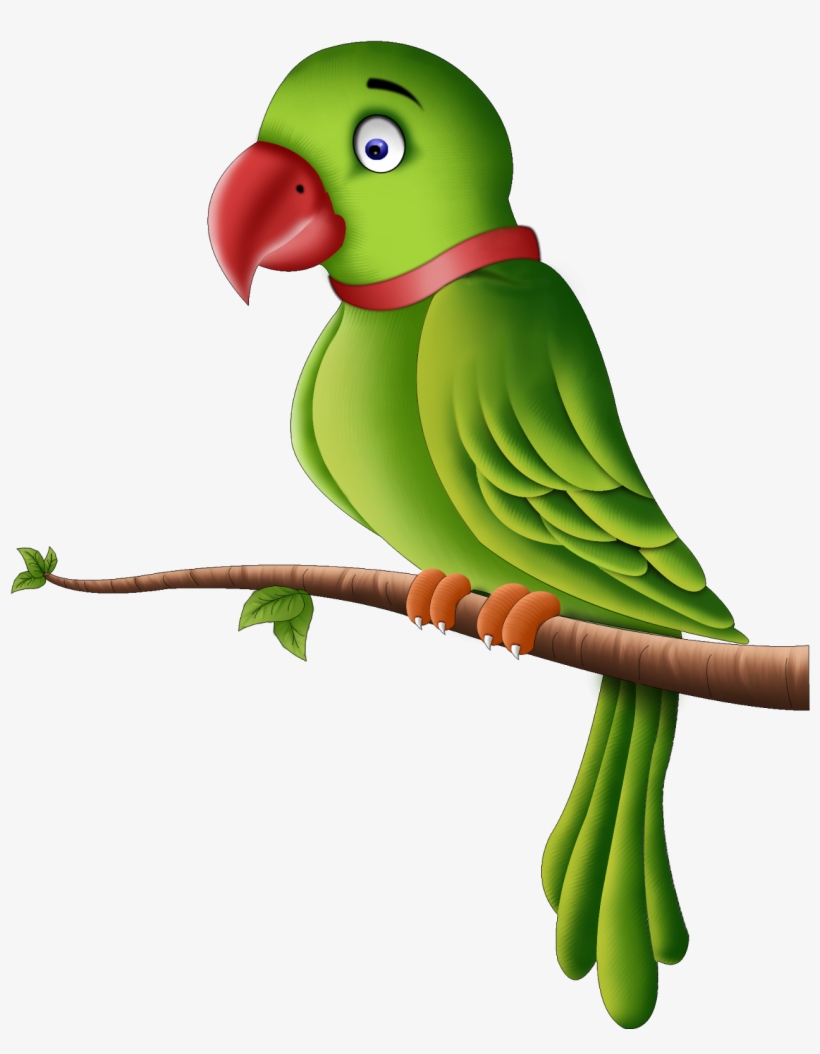 Parrot Png Pic - Parrot Png, transparent png #54571