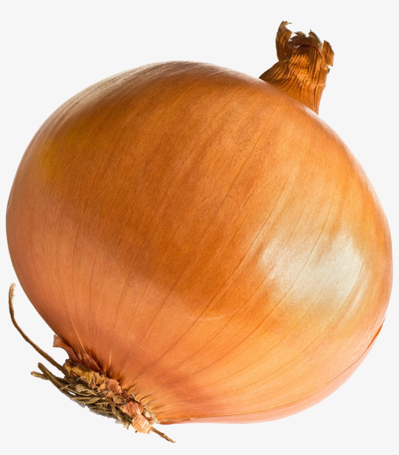 Onion - Onion Png, transparent png #54574