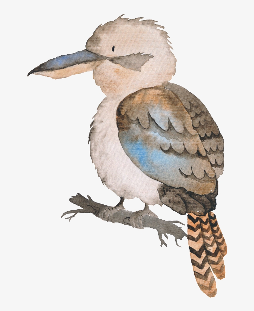 Hand-painted Colored Bird Transparent Animal Png - Free Australian Animal Cartoon, transparent png #54886