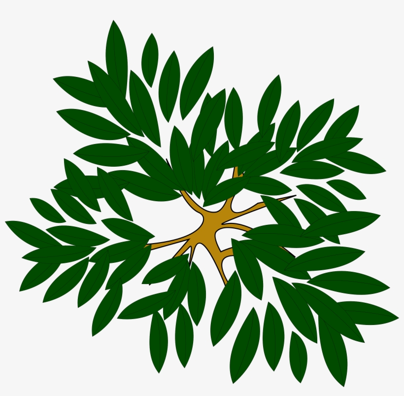This Free Icons Png Design Of Tree-01, transparent png #54995