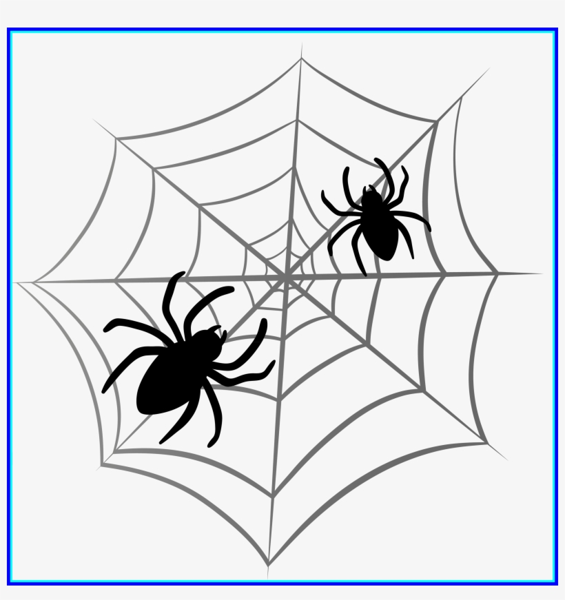 Incredible Spider Drawing References Pic For Orchid - Spider Web Sterling Silver Lapel Pin Gift Box, transparent png #55055