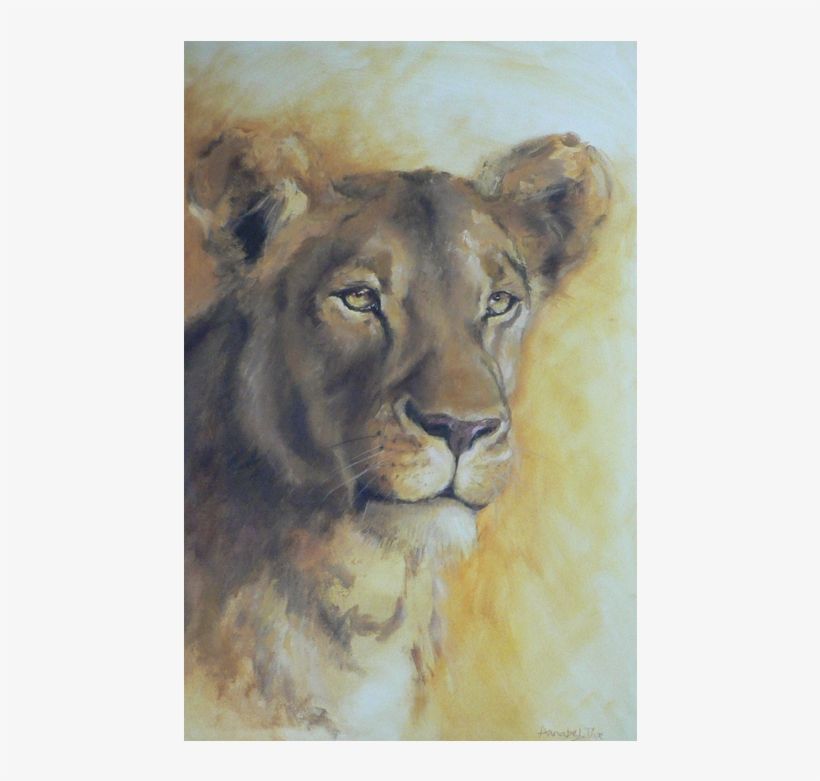 Lioness Portrait - Lion, transparent png #55533