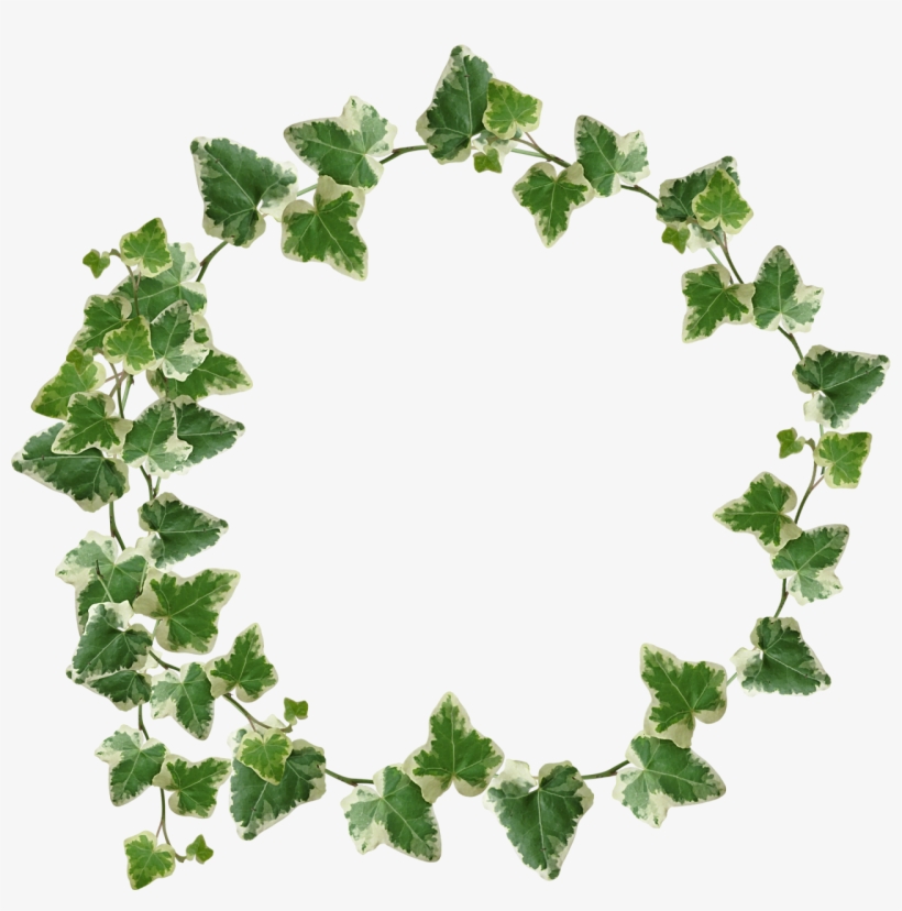 Ivy Crown / Transparency - Green Leaves Crown Png, transparent png #55715