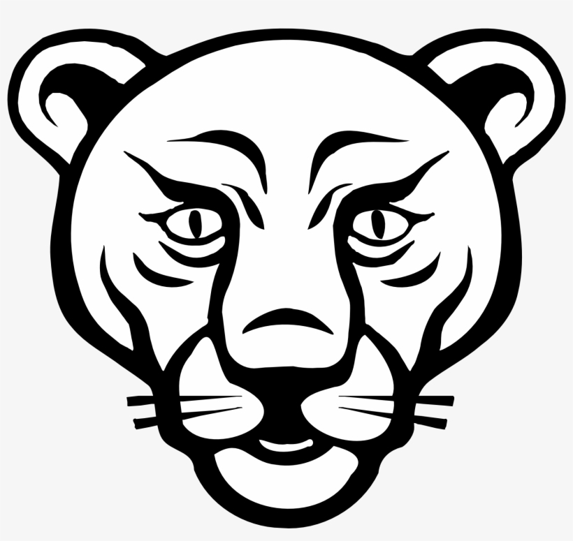 Drawn Lion Face Outline - Faces Of Animals Drawing, transparent png #55716