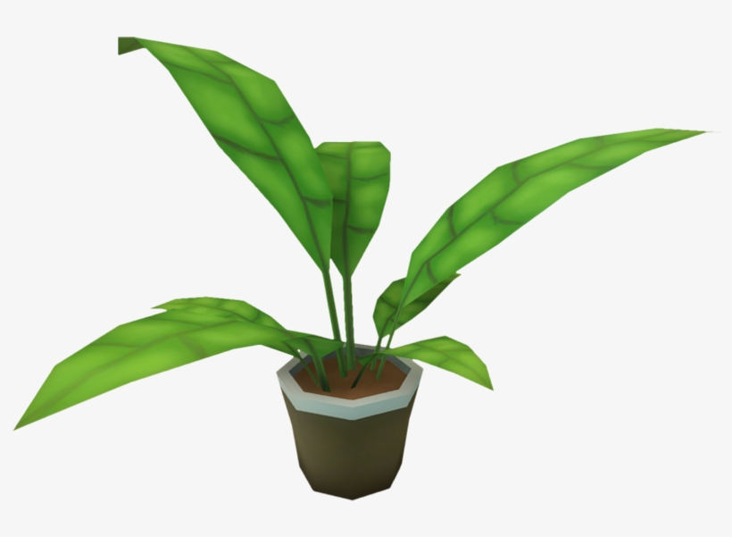 Furniture Ornamental Plant - Ornamental Plant Png Transparent, transparent png #55759