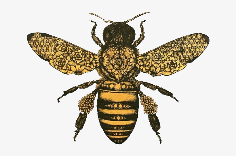 Hfk Bee - Hopeless Fountain Kingdom Bee, transparent png #55966