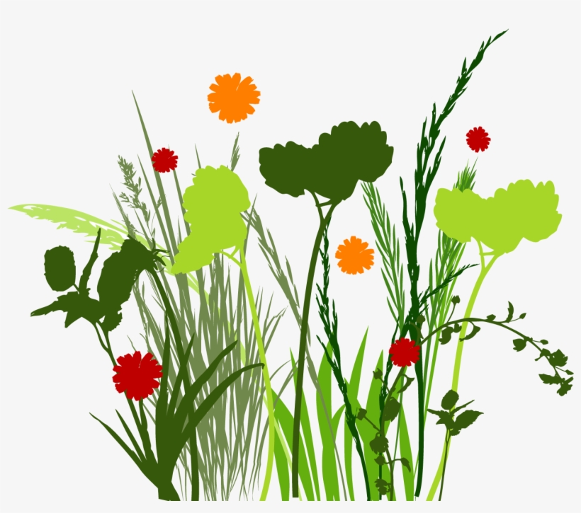 Png Clipart Free - Meadow Graphic, transparent png #56037