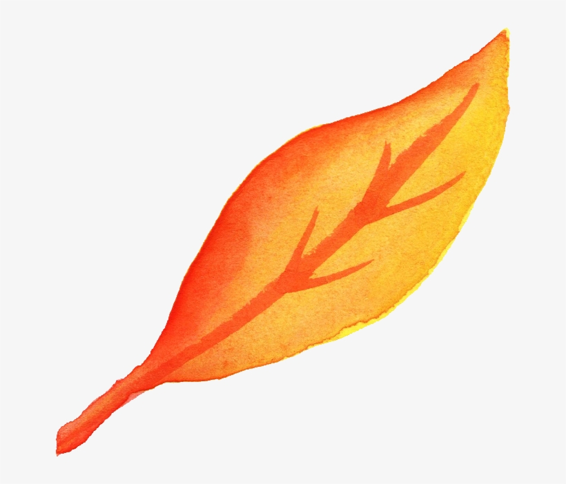 Free Download - Leaf Png Watercolor Fall, transparent png #56236