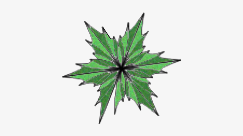 Tree Plan Png Kayu Manis Tree Kapur Tree - Portable Network Graphics, transparent png #56352