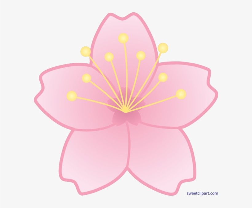Blossom Clipart Sakura Flower - Cherry Blossom Flower Clipart, transparent png #56354