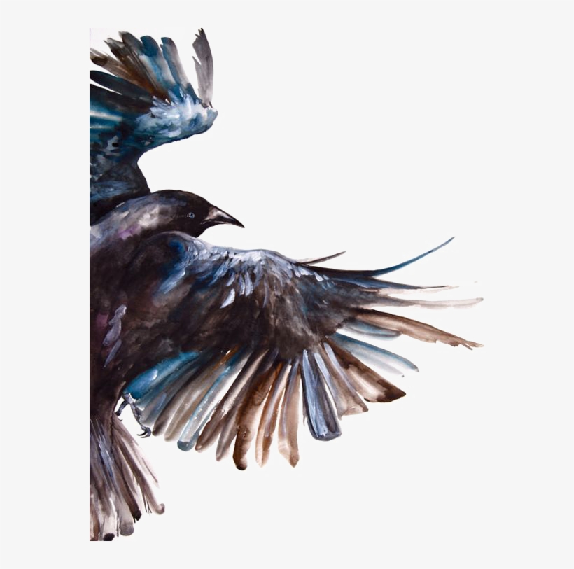 Clipart Freeuse Download Common Raven Bird Painting - Crow's Feather, transparent png #56355