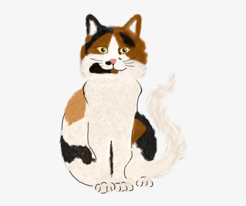 Illustrations Done On Ipad Pro For New Animation Project - Snowshoe, transparent png #56378