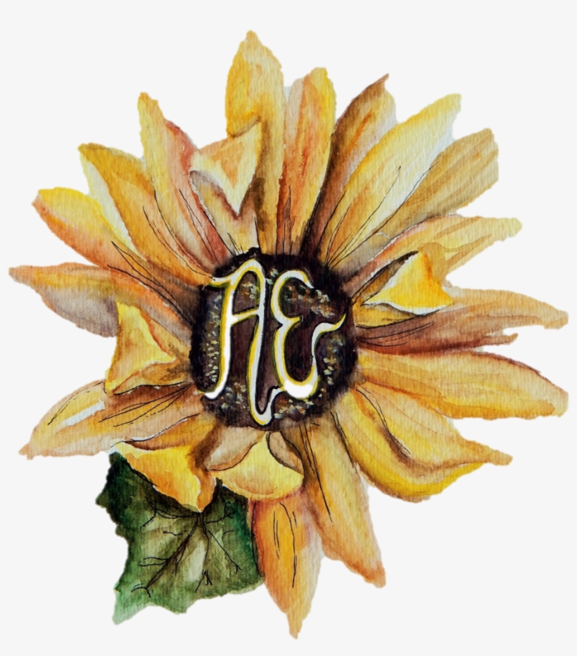 Rope Png, transparent png #56623