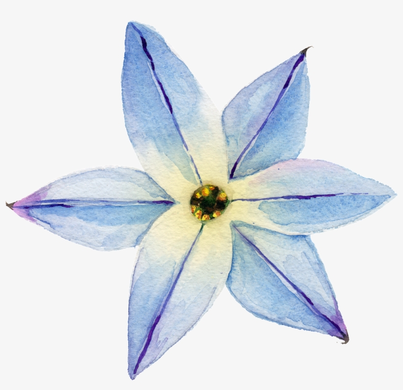 Elegant Transparent Watercolor Flowers Free Download - White Flower Girl Crown First Communion Flower Crown,, transparent png #56730