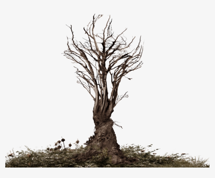 Share This Image - Tree Roots Transparent Png, transparent png #56755