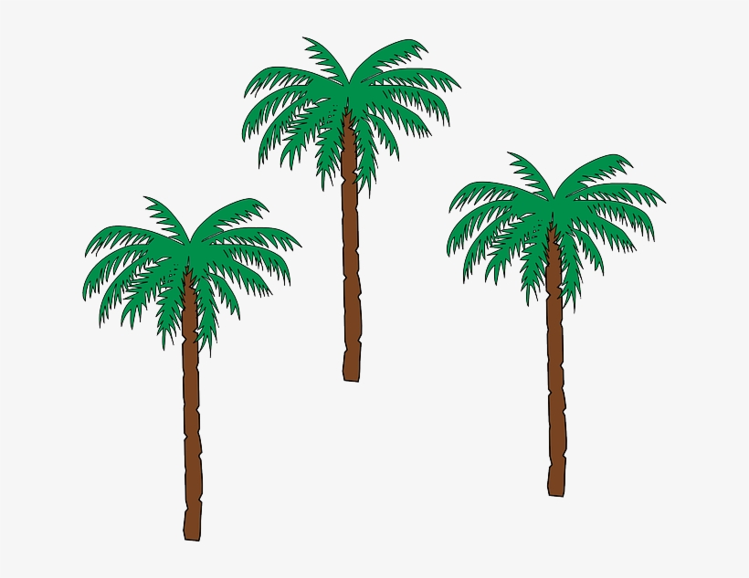 Palm, Tree, Trees - Gambar Kartun Pohon Kurma, transparent png #56863