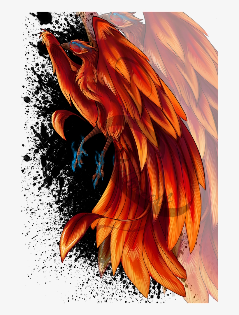 Phoenix [tattoo Design] By Riftwalkerart - Illustration - Free Transparent  PNG Download - PNGkey