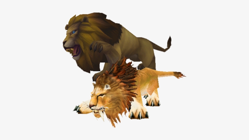 Lion, transparent png #57139