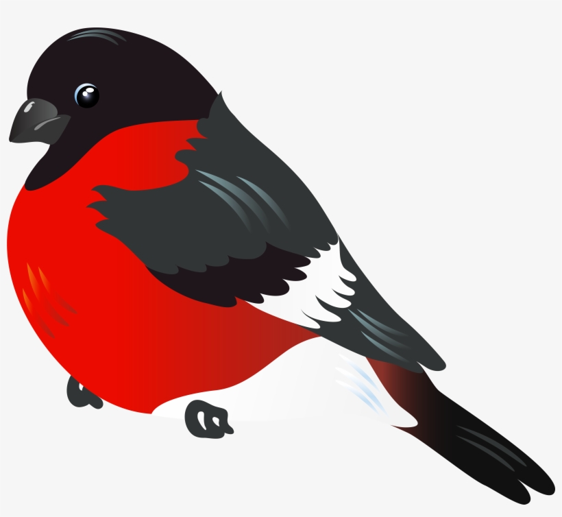 Red Bird Png, transparent png #57387