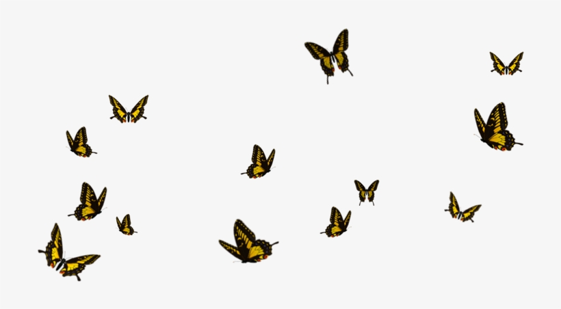Flying Butterfly Png - Borboletas Png, transparent png #57939