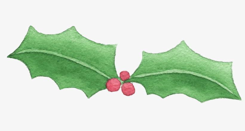 Holly, transparent png #58005