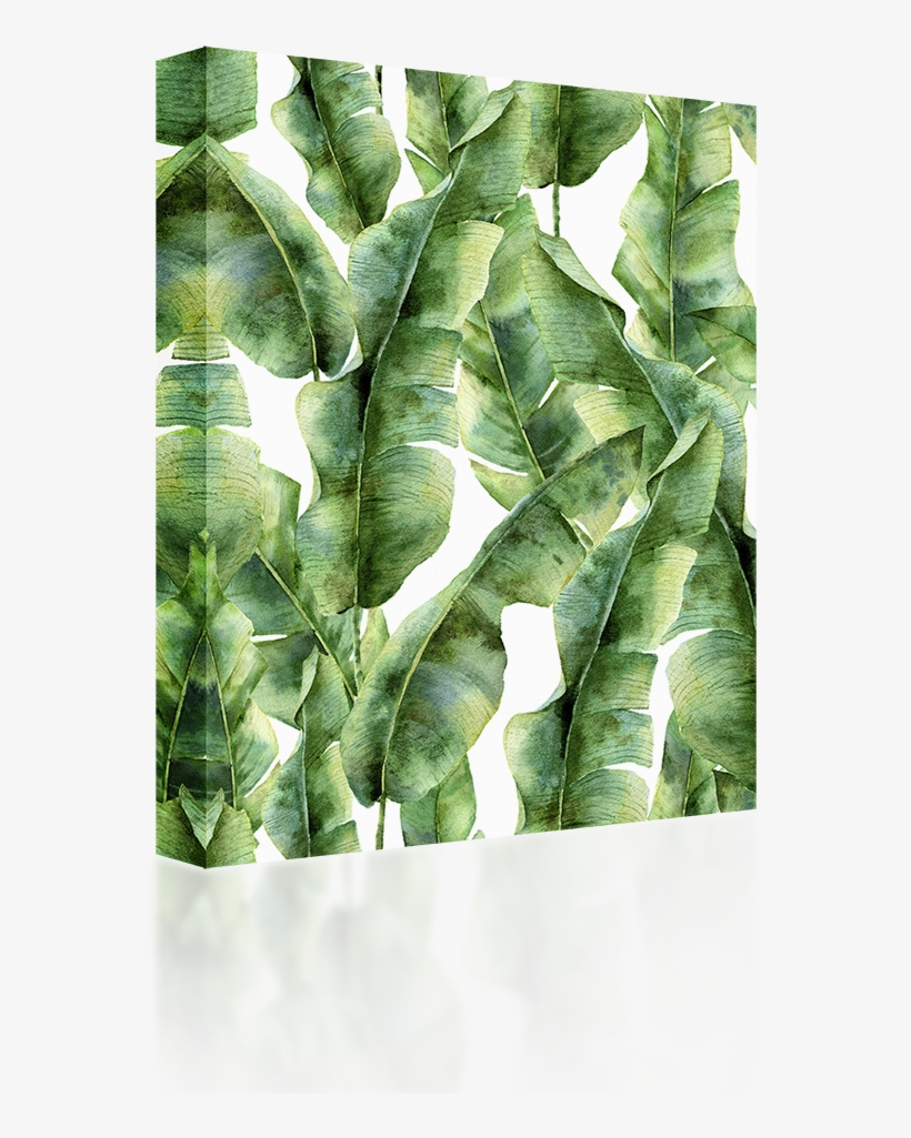Botanische Print, transparent png #58313