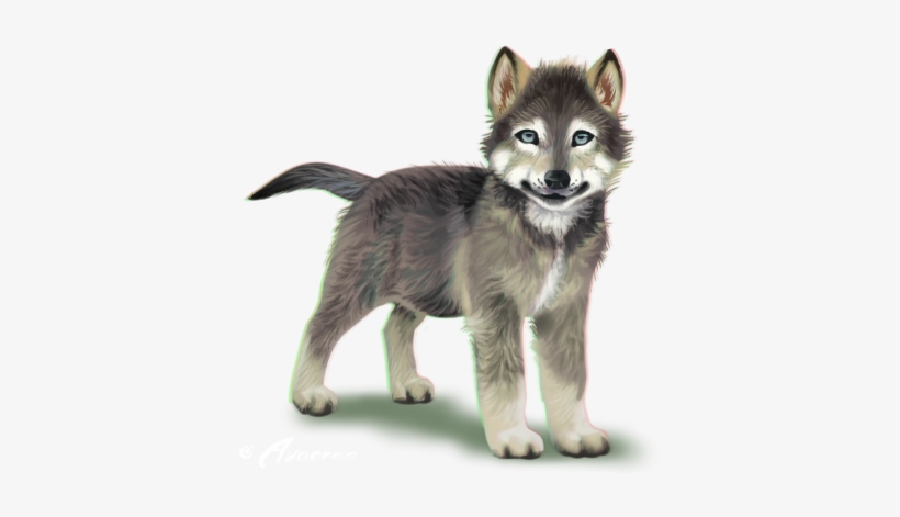 Wolf Png Transparent Clip Art Transparent - Wolf Pup Transparent Background, transparent png #58691