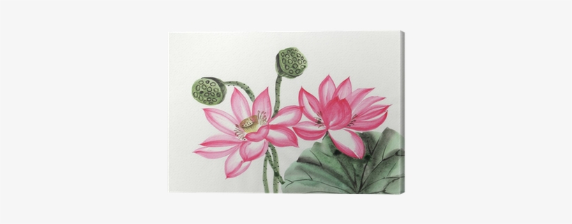 Watercolor Painting Of Lotus Flower Canvas Print • - Watercolor Painting, transparent png #58891