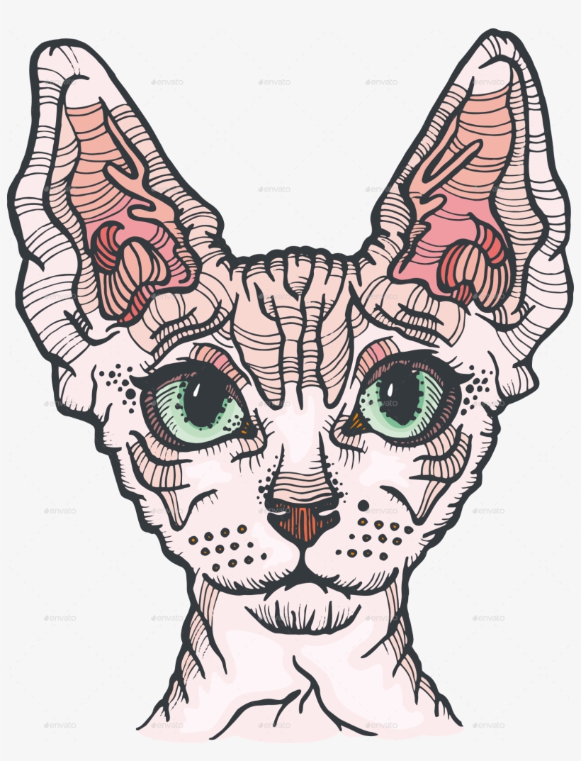 Cat 5 - Sphynx Cat Coloring Page, transparent png #59062