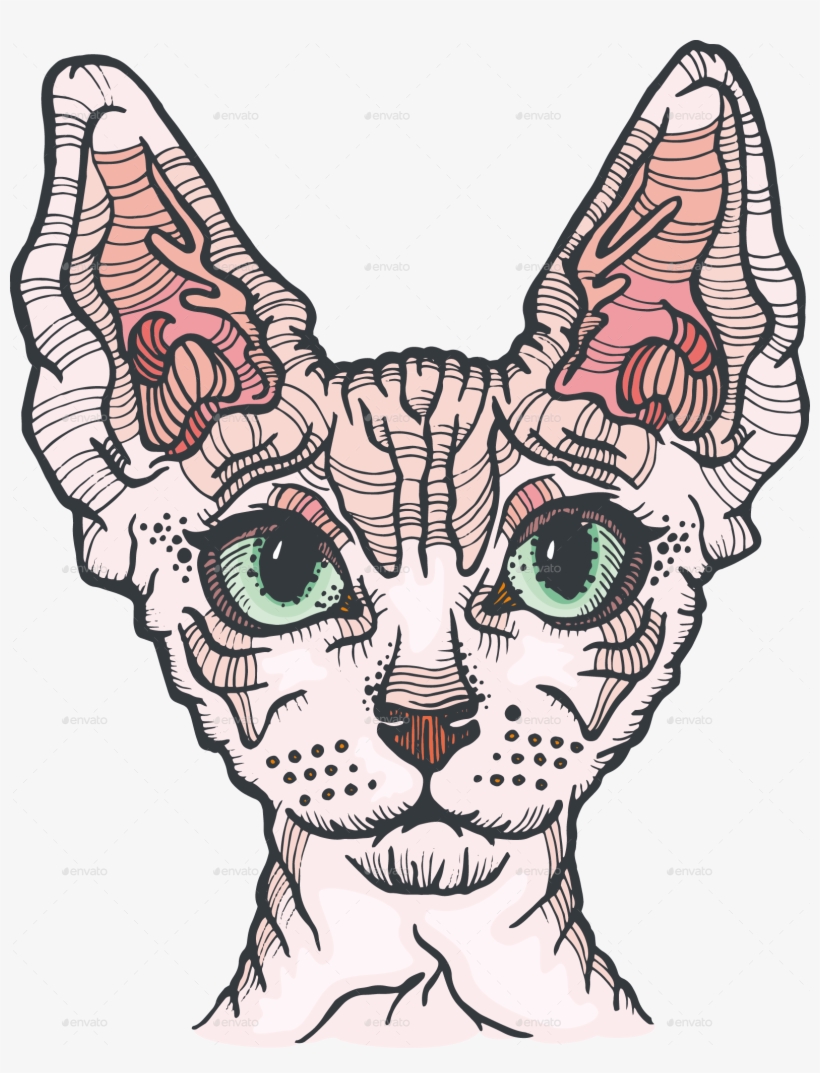 880 Hairless Cat Coloring Pages Download Free Images 880 Hairless Cat Coloring Pages Download Free Images