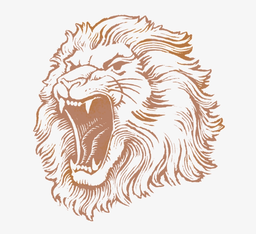 Lion Head Png Image - Lionshead Pilsner - Lion Brewery, Inc., transparent png #59331